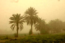 مه صبحگاهی و گردوغبار پدیده غالب هرمزگان