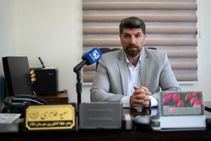 تولید سالانه ۱۴ هزار تن محصول کشاورزی در ایلام 