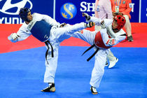 سجاد مردانی حذف شد