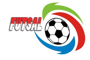 اعلام اسامی داوران فینال لیگ برتر فوتسال