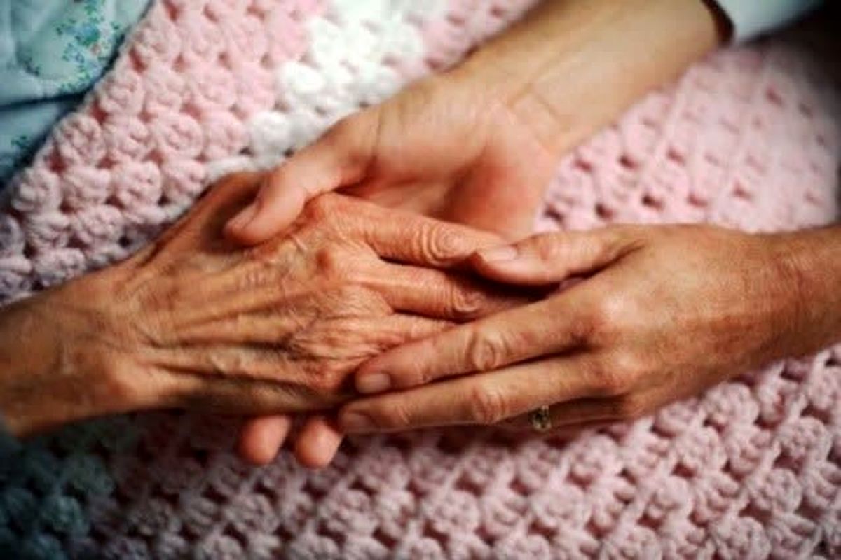 عکس خبر کمیته