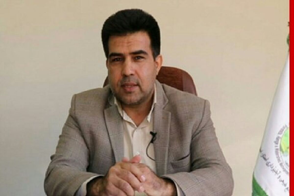 محمد علی کاظمی