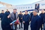 معاون اجرایی رئیس‌جمهور وارد ایلام شد
