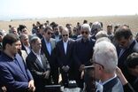 مجتمع‌های کشت و صنعت باید محور انتقال دانش به کشاورزان باشند