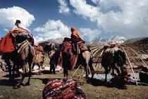 آغاز کوچ عشایر مشخص شد