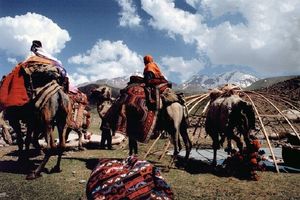 آغاز کوچ عشایر مشخص شد