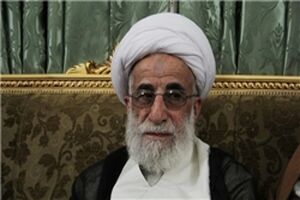 دبیر شورای نگهبان شهادت محسن حججی را تسلیت گفت