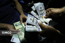 قیمت ارز امروز ۲ اردیبهشت ۱۴۰۴ در بازار تهران مشخص شد