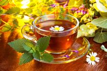 خواص درمانی ۱۰ دمنوش گیاهی/ دمنوش گیاهی، نوشیدنی دلچسب برای تمام فصول