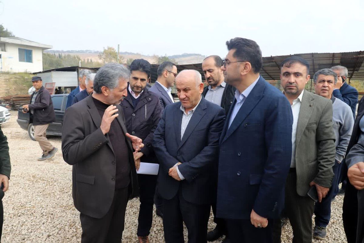 حیدر داوودیان