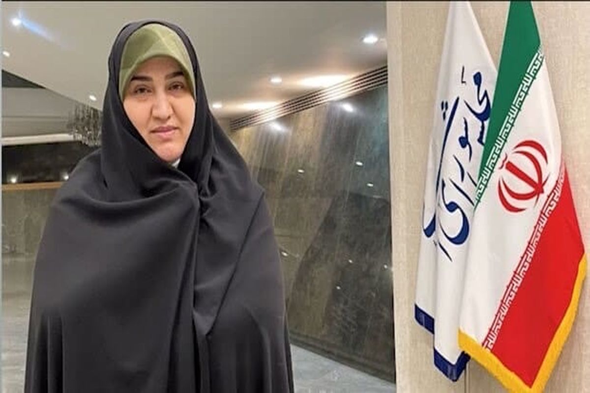 نماینده مجلس 