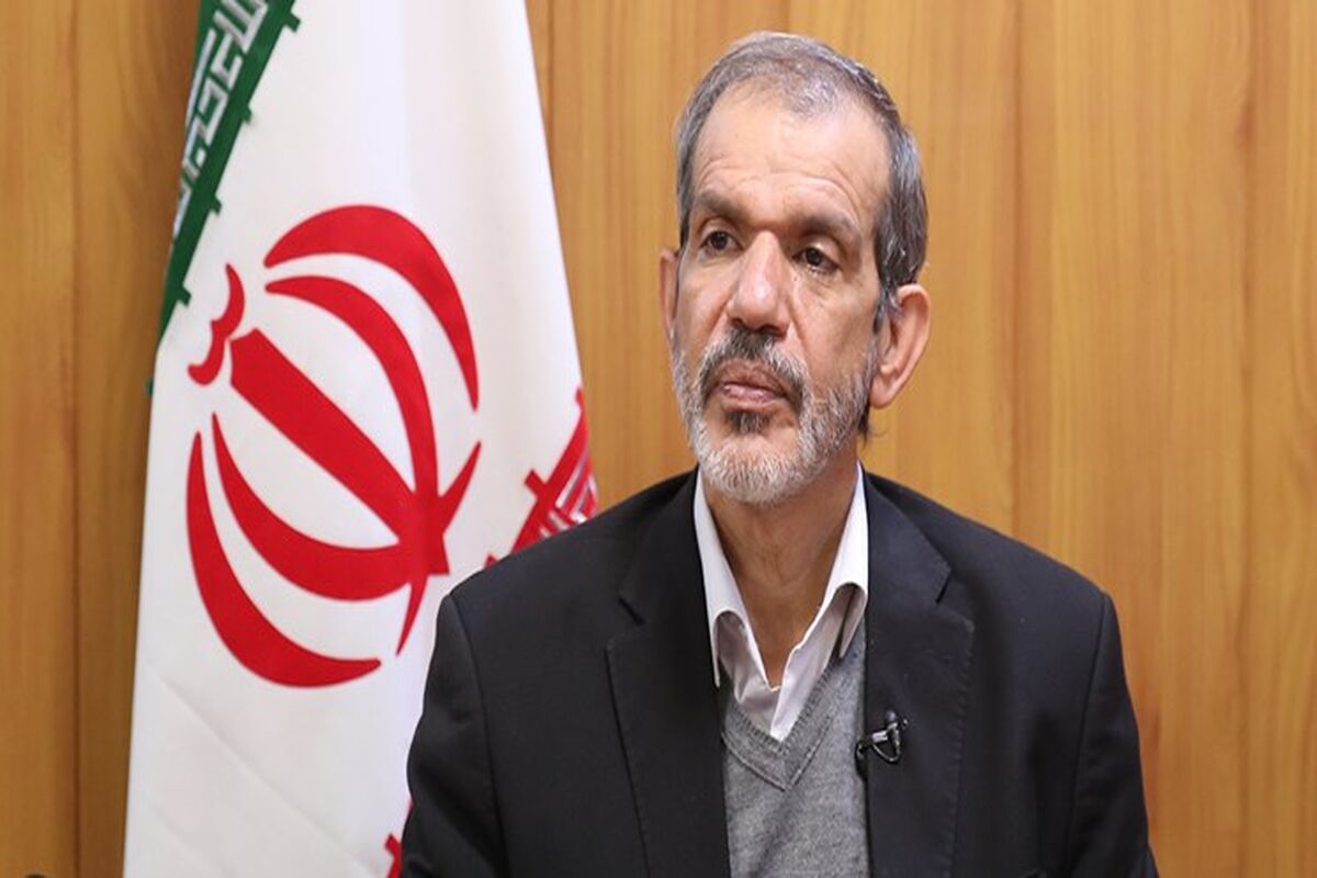 حسن دانایی فر