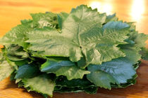 روش های نگهداری طولانی مدت برگ مو/ برگ مو رو بدون تغییر رنگ برای زمستون نگه دار