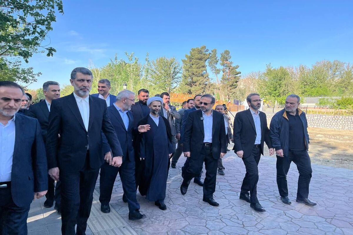 قوه قضاییه