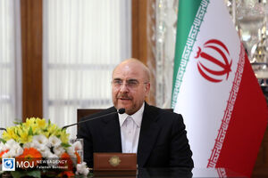 کشورهای آفریقایی برای ایران اهمیتی کمتر از بریکس ندارند