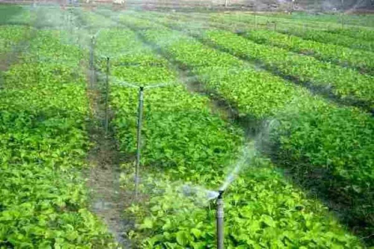 جهاد کشاورزی