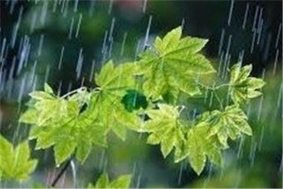 اصفهان- باران