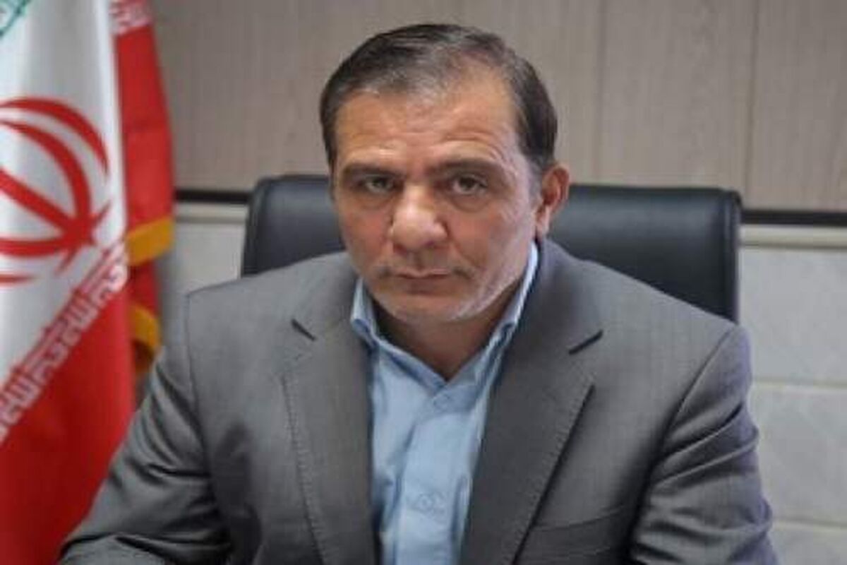 بهزاد رادمنش
