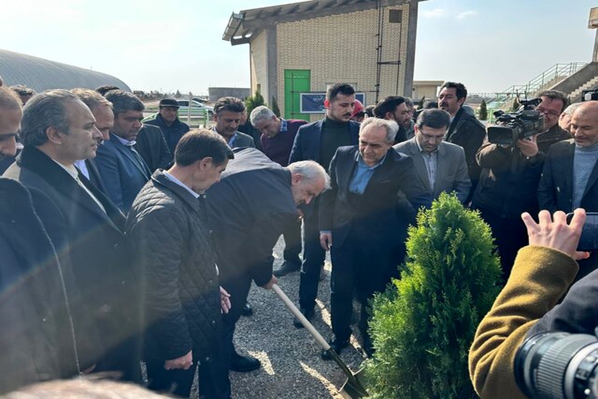 وزیر