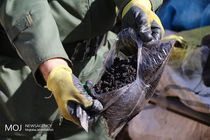 کشف  2 تن از انواع مواد مخدر در هرمزگان