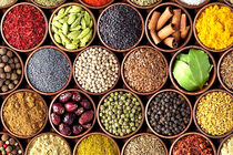 خرید ۴۸ تن گیاه دارویی به نرخ توافقی در راستای حمایت از تولید کنندگان 