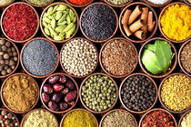 خام‌فروشی مانع اصلی ارزآوری گیاهان دارویی ایران است