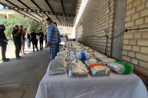 پلیس تهران فروشنده قارچ‌های توهم‌زا با ۲ هزار دنبال‌کننده اینستاگرامی را دستگیر کرد