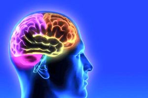 کشف مداری در مغز که به کاهش استرس کمک می‌کند