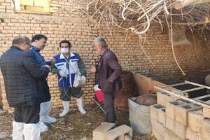 جلوگیری از شیوع بیماری های دامی رسالت سازمان دامپزشکی کشوراست