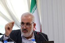 وزیر صمت خواستار آیین‌نامه اجرایی قانون امور گمرکی فرش دستباف شد