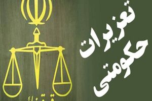 افزایش ۲۰ برابری برخورد سازمان تعزیرات حکومتی با تخلفات بازار