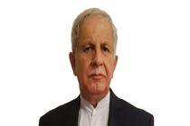معضلات کشور ریشه در عدم‌توسعه سیاسی و نهادسازی دارد 