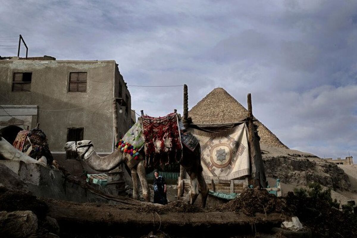 مصر