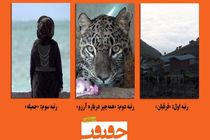 فیلم‌های برتر آرای مردمی در روز اول سینما حقیقت اعلام شد