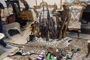 محموله بزرگ حیوانات تاکسیدرمی و سلاح در تهران کشف شد