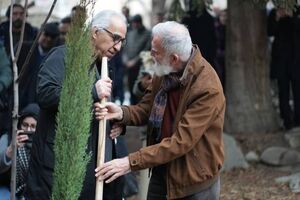 بخش «درخت زرین» جشنواره تجسمی فجر به سرو چهار هزار ساله ابرکوه تقدیم شد