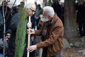 بخش «درخت زرین» جشنواره تجسمی فجر به سرو چهار هزار ساله ابرکوه تقدیم شد
