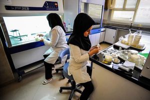 مقولات هویت و توسعه باید توأمان مورد بررسی قرار گیرد