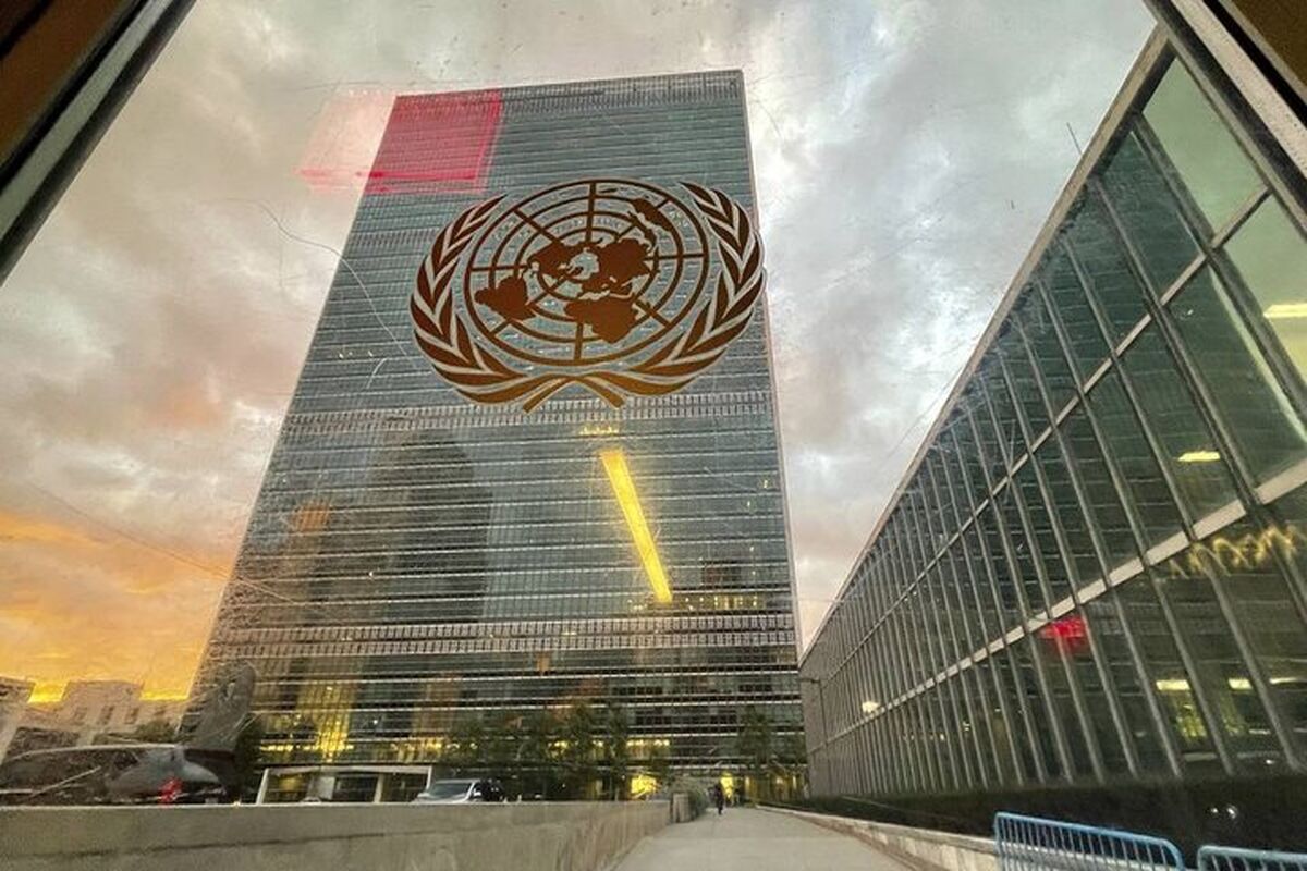 سازمان ملل