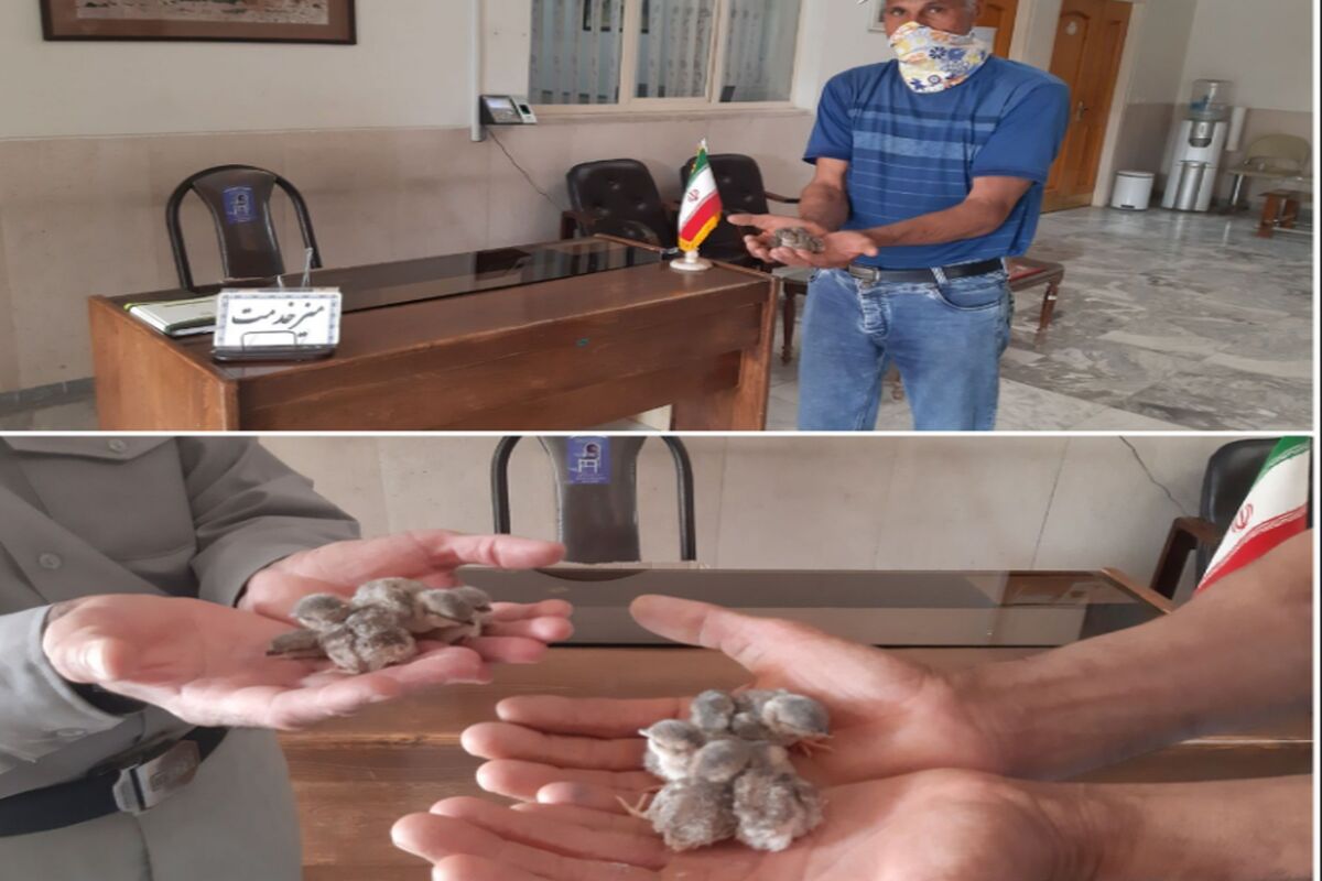 محیط زیست کاشان