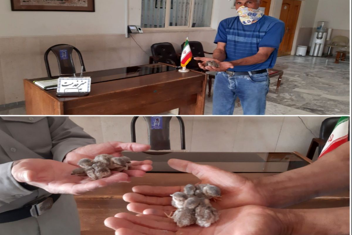 محیط زیست کاشان