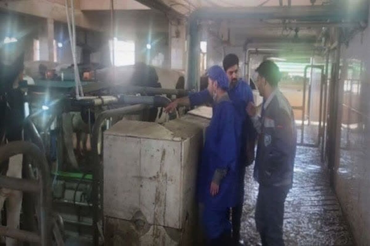 عکس دامپزشکی
