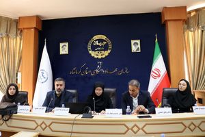 هشدار مسئولان درباره انفجار سالمندی در کرمانشاه