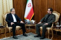 عراقچی با سفیر ایران در وین درباره تحولات شورای حکام رایزنی کرد