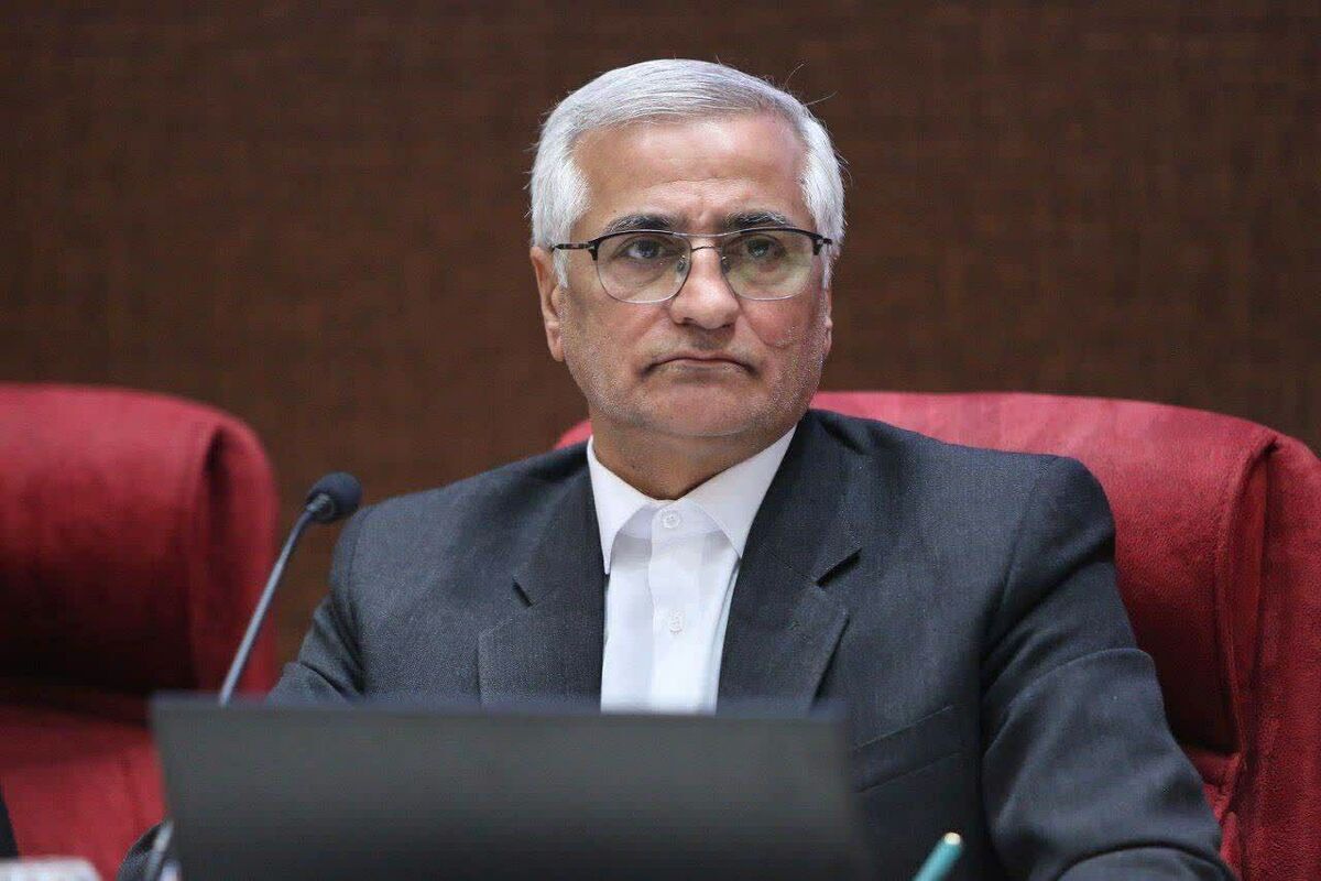 شمقدری