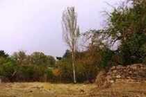 بیش از ۱۵۰ هکتار از زمین‌های سراب قنبر به بوستان تبدیل می‌شود