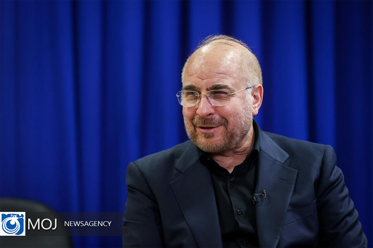 دیدار رئیس مجلس شورای اسلامی با مراجع عظام تقلید در قم (25) copy