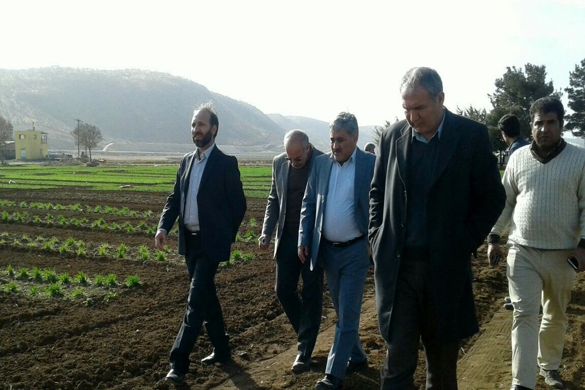 جهاد کشاورزی کرمانشاه