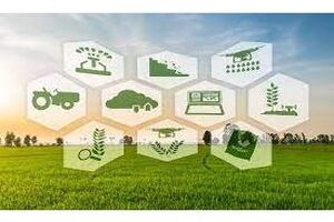 نخستین مزرعه هوشمند شالیزاری در مازندران رونمایی شد