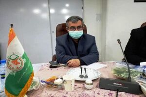 کشت قراردادی مرکبات و کیوی در مازندران/ ساماندهی 80 هزار بهره بردار در نظام صنفی کشاورزی